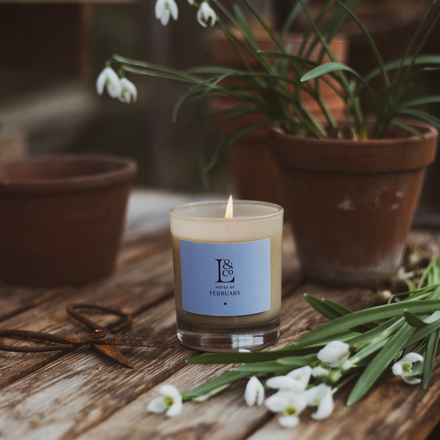 Snowdrop scented candle for a delightful home filled with floral fragrance. Hand-poured sustainable wax. Made in England.