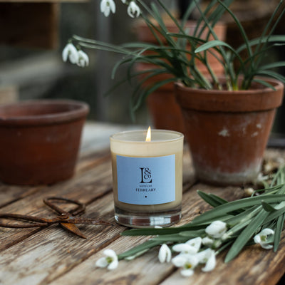 Spring scented candle of snowdrops. A delicate but far reaching scent that will uplift your home.