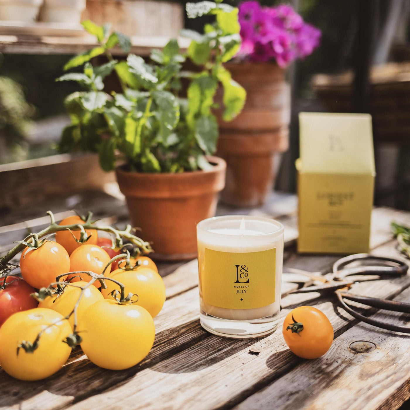Hand-poured in England the scent of tomato leaf, sweet pea and mint  captured in a beautiful summer scented candle. Sustainably made in the UK.